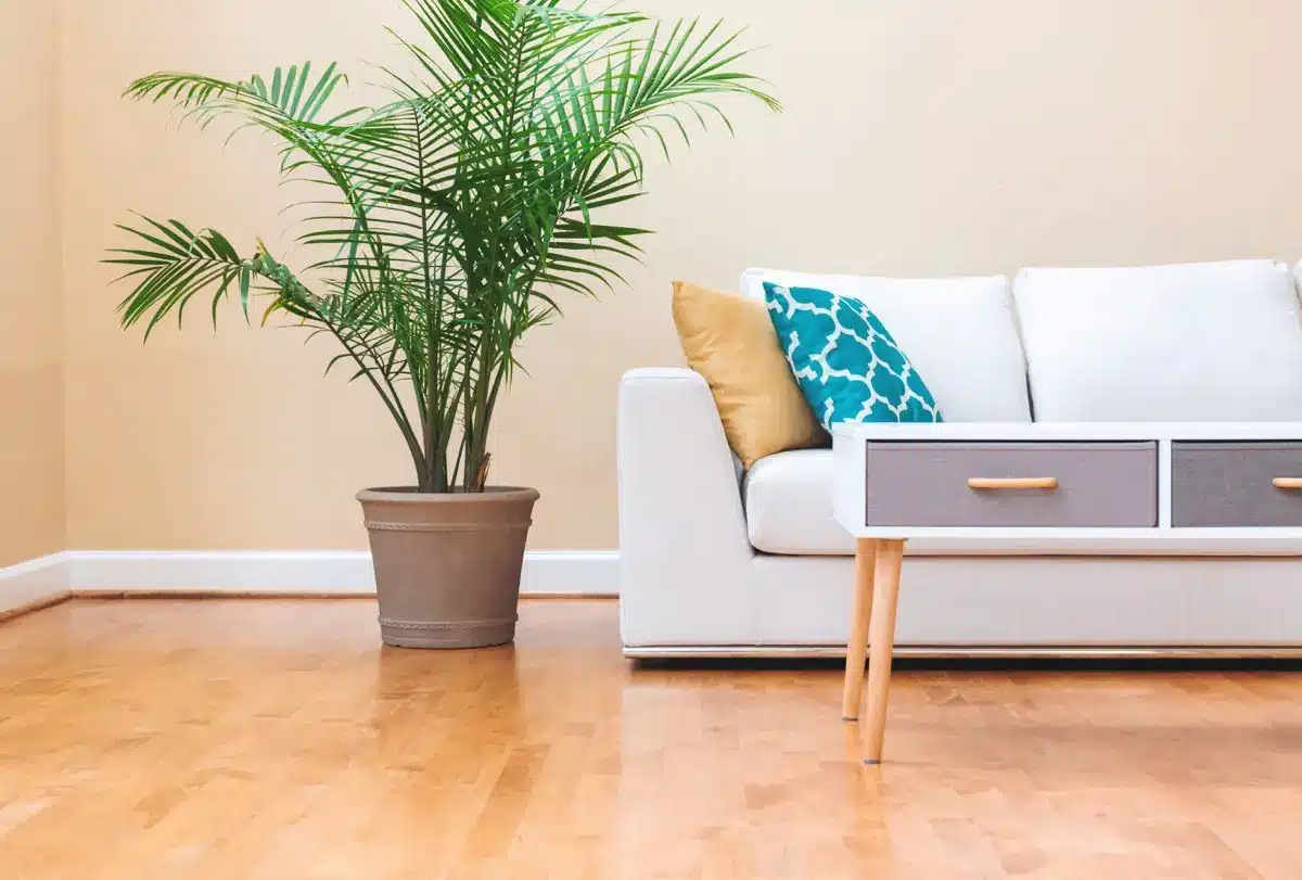 Hardwood Flooring Installs